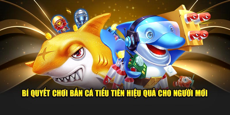 Bí quyết thi đấu hiệu quả cho tân binh mới tham gia 