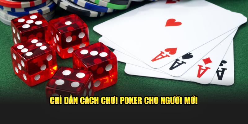 Chỉ dẫn cách chơi poker cho người mới